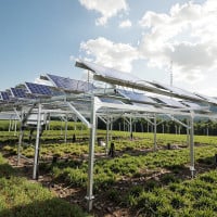 Solar Farm Agriculture Mounting Structure